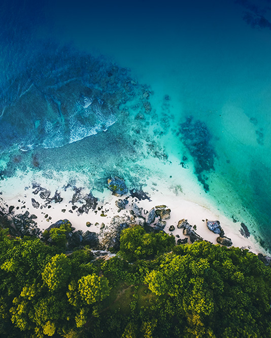 Nature image of a lush forest and ocean